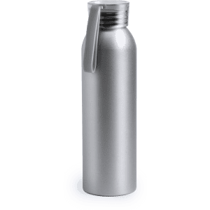 A drink bottle in silver metal with a sleek design and a handle for easy carrying. Features a logo on the body.
