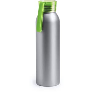 A drink bottle in silver with a green lid and integrated handle, featuring a logo on the side.