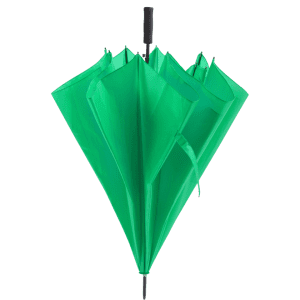 A green umbrella with multiple panels, featuring a handle and a logo. Designed for leisure and outdoor use.