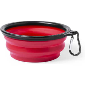 A red collapsible pet bowl with a black rim and a metal carabiner for easy attachment.