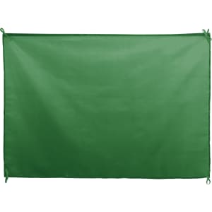 A green Dambor Flag made of durable material, suitable for exhibitions and events. Features ties for easy attachment.
