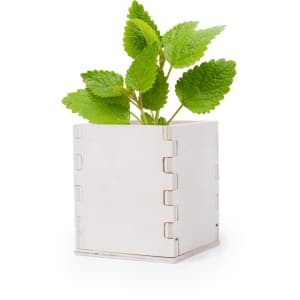A square wooden flowerpot featuring green leaves, with a simple design and visible assembly joints.