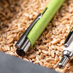 A green pen with a metal clip resting among grains in a textured surface.