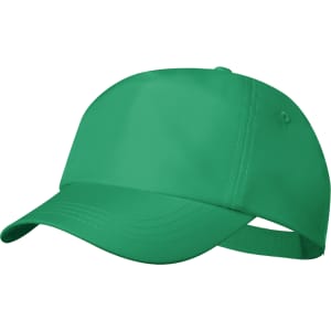 A green cap featuring a soft peak and an adjustable strap at the back. It has a logo on the side.