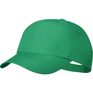 A green cap with a curved brim and an adjustable strap at the back, featuring a logo.