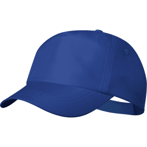 A blue cap with a curved brim and an adjustable strap at the back, featuring a logo.