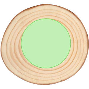 A circular wooden coaster with a natural finish and a green centre. It has a rustic design with visible wood grain.