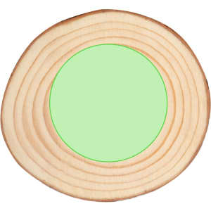 A round wooden coaster with a natural wood edge and a green centre, featuring concentric rings.