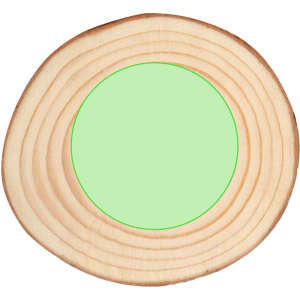 A wooden coaster with a circular green centre, featuring natural wood grain patterns. Brand logo present.