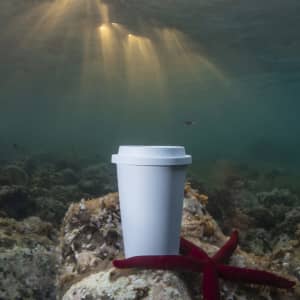 A white plastic cup sits on a rocky seabed, surrounded by coral and illuminated by sunlight filtering through the water.