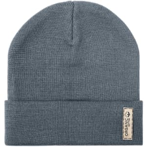 A grey beanie hat with a folded cuff and a small logo tag.
