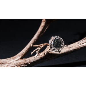An adjustable silver ring with a decorative stone set against a natural branch on a dark background.