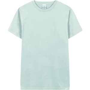 A light mint green adult T-shirt with a crew neck and short sleeves, featuring a small logo.