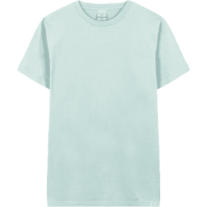 A light mint green adult T-shirt with a classic fit and a small logo at the hem.