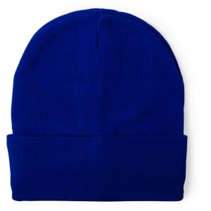 A blue beanie hat with a folded cuff, featuring a logo on the side.