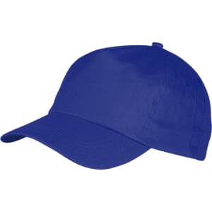 A blue sport cap with a curved peak and an adjustable strap at the back, featuring a logo.