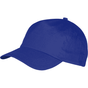 A blue sport cap with a curved brim and a structured design, featuring a logo on the front.
