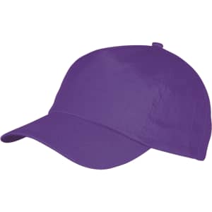 A purple sport cap with a curved brim and a logo on the front. Suitable for various outdoor activities.