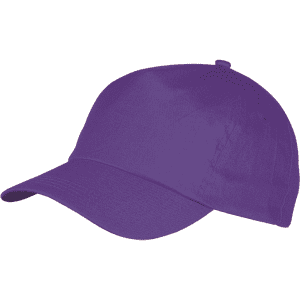 A purple sport cap with a curved brim and an adjustable strap. Features branding on the front.