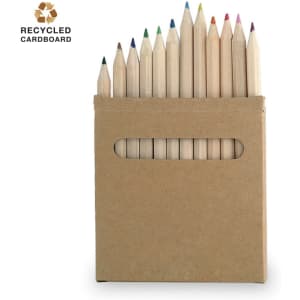 A pencil set featuring a variety of coloured wooden pencils in a recycled cardboard holder.