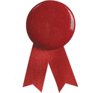 A red lapel pin features a circular top with two ribbon tails, designed for exhibitions and events.