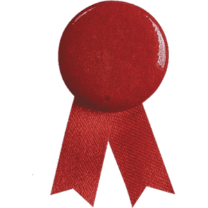 A red lapel pin featuring a circular badge with a ribbon attached at the bottom.