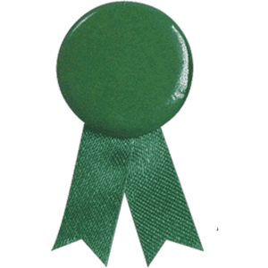 A green lapel pin with a glossy circular top and a textured ribbon below. The pin has a logo on it.