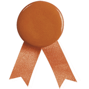 An orange lapel pin with a glossy circular top and two ribbon tails. It features a branding logo.