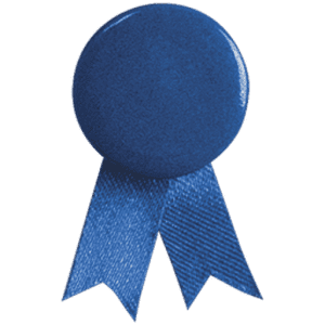 A blue lapel pin with a round button and two ribbon tails. It features a logo.