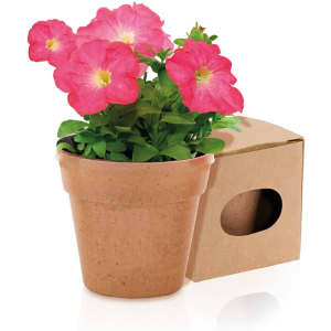 A brown flowerpot containing vibrant pink flowers, displayed alongside a cardboard box with a cut-out section.