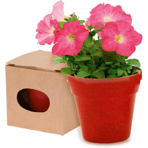 A red flowerpot containing pink petunia flowers, accompanied by a brown cardboard box. The pot has a logo.
