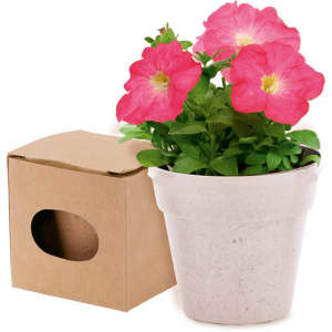 A flowerpot containing pink petunia flowers, accompanied by a plain cardboard box.