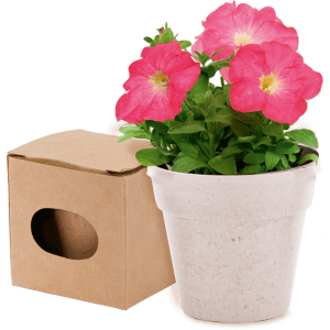 A white flowerpot containing pink petunia flowers, accompanied by a brown cardboard box with a cut-out.