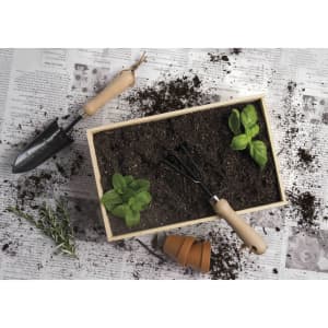 A wooden garden box filled with soil, featuring small plants, a trowel, and a hand rake, set on newspapers.