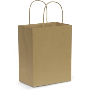 A medium brown paper carry bag with two handles and a plain design.