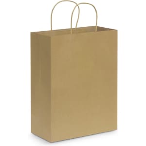 A large brown paper carry bag with two handles.