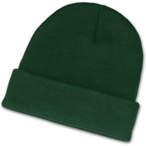 A green beanie with a folded cuff, designed for warmth and style.
