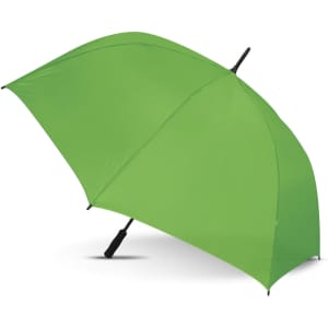 A green Hydra Sports Umbrella featuring a wide canopy and a sturdy handle.
