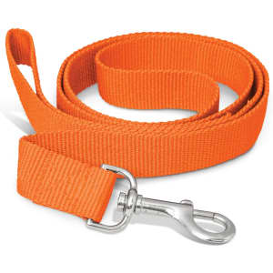 An orange dog leash with a silver clasp.