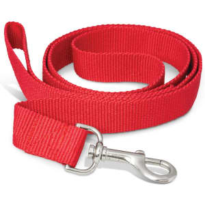 A red dog leash with a sturdy metal clip at one end. The leash is made of durable webbing material and is coiled neatly.