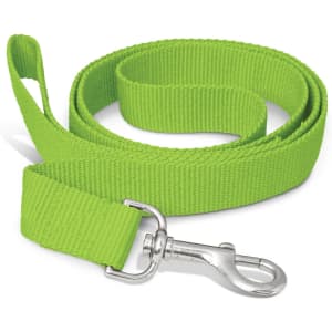 A green dog leash with a metal clip at one end, featuring a textured fabric design.