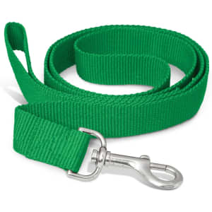 A green dog leash with a silver metal clip for attachment. The leash features a durable fabric construction.