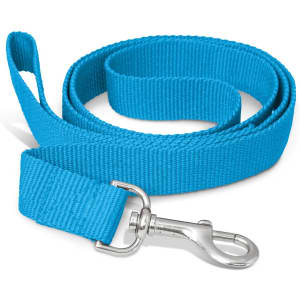 A bright blue dog leash featuring a durable clip and a soft handle, with a branding logo present.