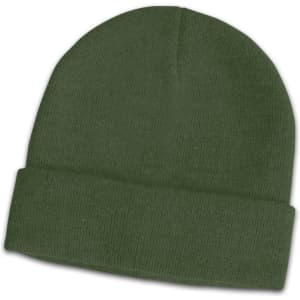 A green beanie with a folded cuff, featuring a subtle logo on the side.