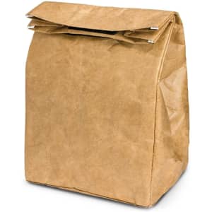 A kraft paper cooler lunch bag with a fold-over top. The bag has a simple, uncoated texture and a neutral brown color.