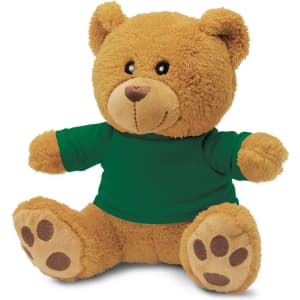 A brown teddy bear plush toy wearing a green shirt, featuring a soft texture and paw print details.