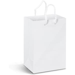 A small white laminated paper carry bag with white rope handles and a plain design.