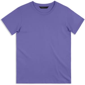 A plain purple men's T-shirt featuring a round neck and short sleeves, with a small logo on the collar.