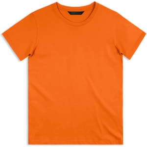 An orange men's t-shirt with a regular fit and short sleeves, featuring a logo on the neckline.