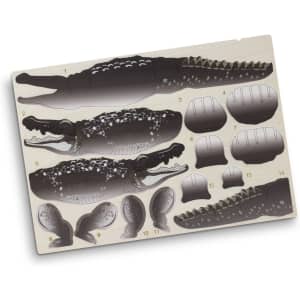 A wooden model kit featuring a crocodile design, with various parts in dark and light shades on a beige background.